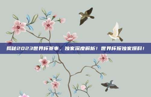 揭秘2023世界杯赛事，独家深度解析！世界杯报独家爆料！