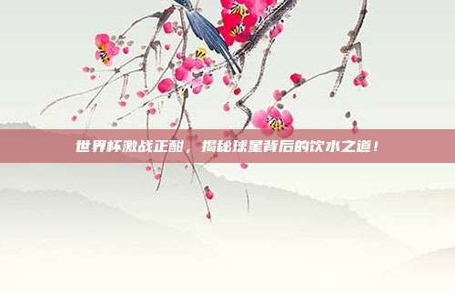 世界杯激战正酣,揭秘球星背后的饮水之道!