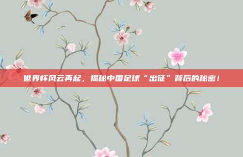 世界杯风云再起，揭秘中国足球“出征”背后的秘密！