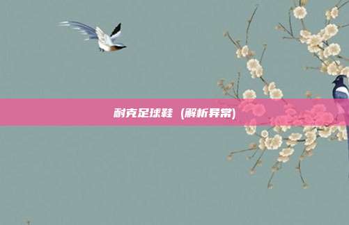 耐克足球鞋 (解析异常)