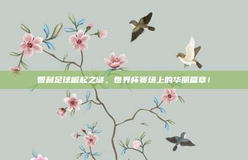 智利足球崛起之谜，世界杯赛场上的华丽篇章！