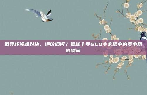 世界杯巅峰对决，评价如何？揭秘十年SEO专家眼中的赛事精彩瞬间