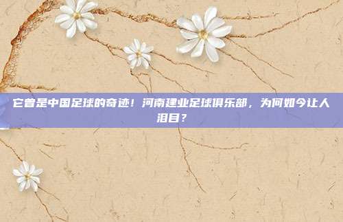 它曾是中国足球的奇迹！河南建业足球俱乐部，为何如今让人泪目？