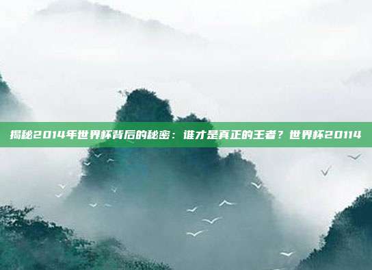 揭秘2014年世界杯背后的秘密:谁才是真正的王者?世界杯20114