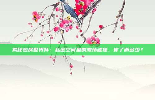 揭秘包房世界杯：私密空间里的激情碰撞，你了解多少？