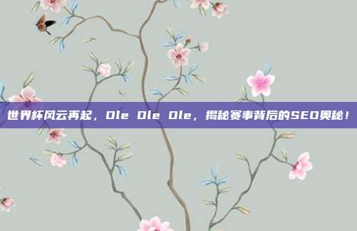 世界杯风云再起,Ole Ole Ole,揭秘赛事背后的SEO奥秘!