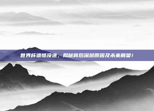 世界杯遗憾没进,揭秘背后深层原因及未来展望!