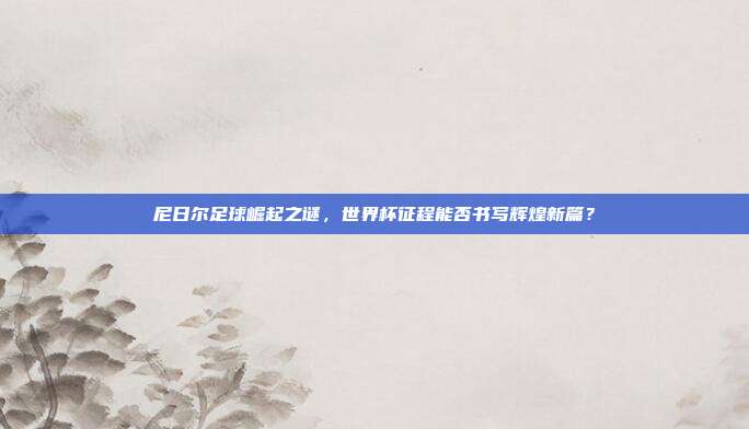 尼日尔足球崛起之谜，世界杯征程能否书写辉煌新篇？