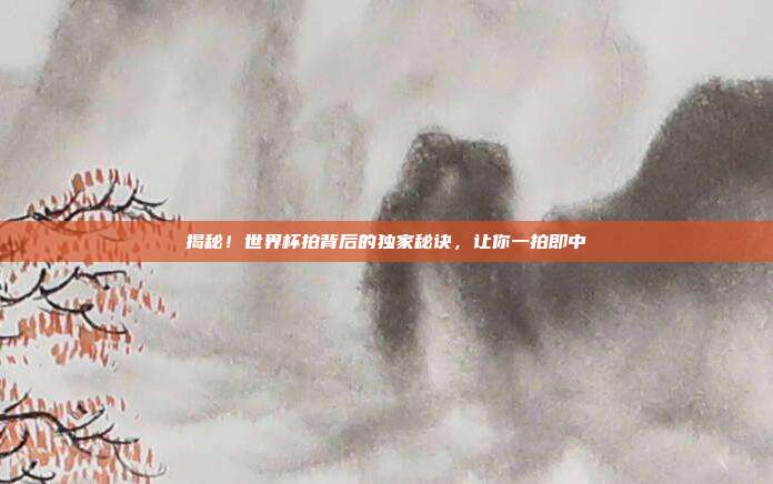 揭秘！世界杯拍背后的独家秘诀，让你一拍即中