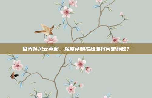 世界杯风云再起，深度评测揭秘谁将问鼎巅峰？