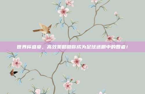 世界杯盛宴，高效策略助你成为足球迷眼中的智者！