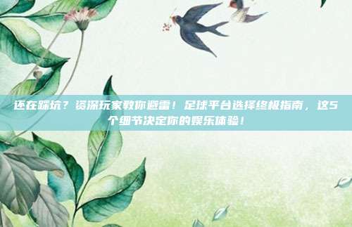 还在踩坑？资深玩家教你避雷！足球平台选择终极指南，这5个细节决定你的娱乐体验！