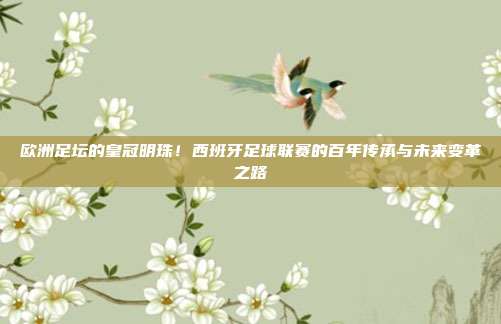 欧洲足坛的皇冠明珠！西班牙足球联赛的百年传承与未来变革之路