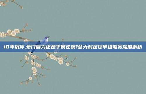 10年沉浮,豪门复兴还是平民逆袭?意大利足球甲级联赛深度解析
