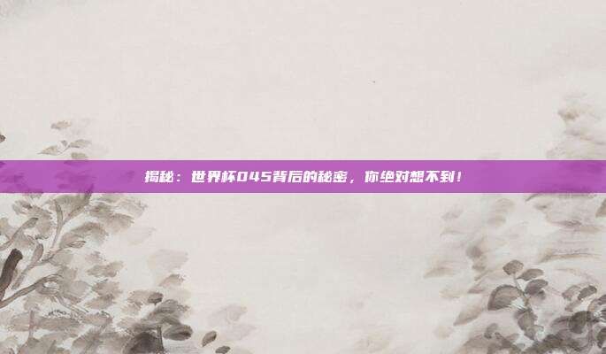 揭秘:世界杯045背后的秘密,你绝对想不到!