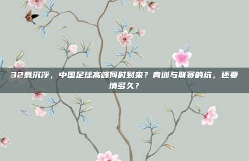 32载沉浮，中国足球高峰何时到来？青训与联赛的坑，还要填多久？
