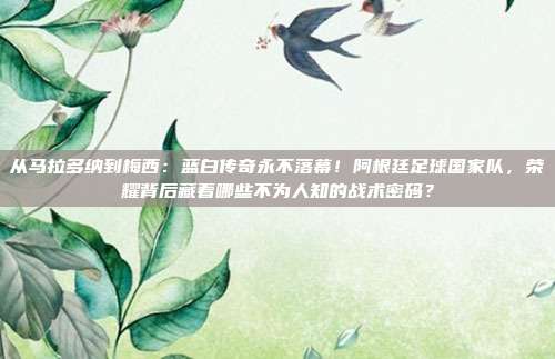 从马拉多纳到梅西：蓝白传奇永不落幕！阿根廷足球国家队，荣耀背后藏着哪些不为人知的战术密码？