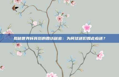 揭秘世界杯背后的回访秘密：为何球迷们如此痴迷？
