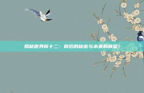 揭秘世界杯十二:背后的秘密与未来的展望!