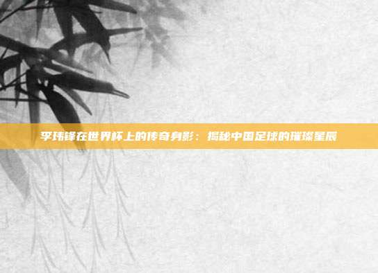 李玮锋在世界杯上的传奇身影：揭秘中国足球的璀璨星辰