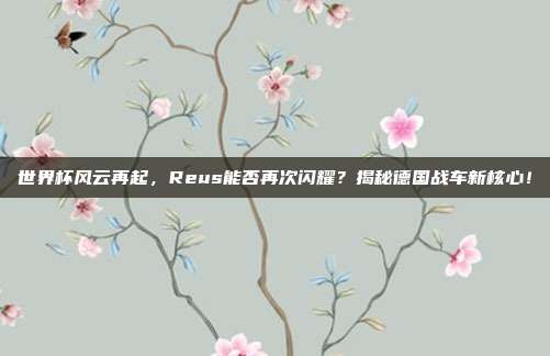 世界杯风云再起，Reus能否再次闪耀？揭秘德国战车新核心！