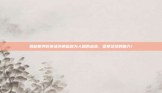 揭秘世界杯赛场外那些鲜为人知的点滴，感受足球的魅力！