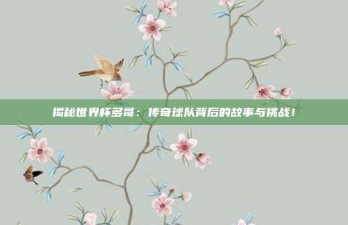 揭秘世界杯多哥：传奇球队背后的故事与挑战！