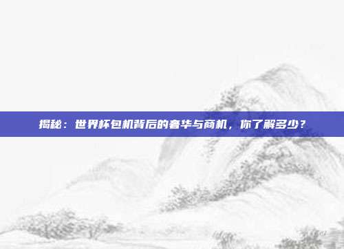 揭秘：世界杯包机背后的奢华与商机，你了解多少？