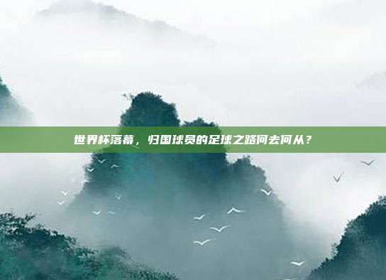 世界杯落幕，归国球员的足球之路何去何从？
