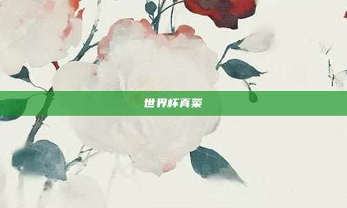 世界杯真菜