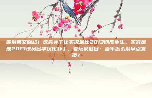 告别英文尴尬！这款补丁让实况足球2013彻底重生。实况足球2013球员名字汉化补丁，老玩家泪目：当年怎么没早点发现？