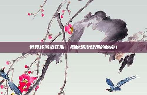 世界杯激战正酣，揭秘场次背后的秘密！