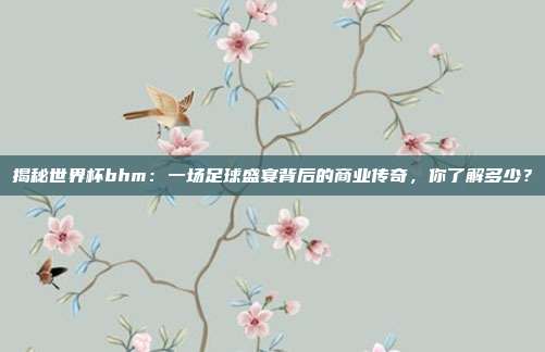 揭秘世界杯bhm:一场足球盛宴背后的商业传奇,你了解多少?