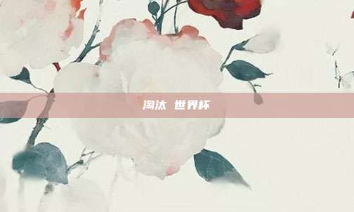 淘汰 世界杯