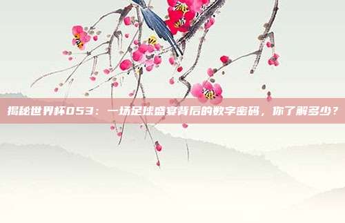 揭秘世界杯053:一场足球盛宴背后的数字密码,你了解多少?