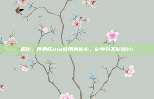 揭秘:世界杯013背后的秘密,你绝对不能错过!