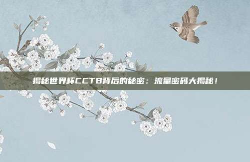 揭秘世界杯CCTB背后的秘密：流量密码大揭秘！