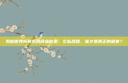 揭秘世界杯背后的商业秘密:公私合营,谁才是真正的赢家?