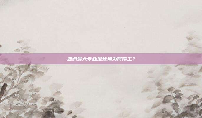 亚洲最大专业足球场为何停工？