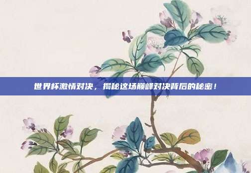 世界杯激情对决,揭秘这场巅峰对决背后的秘密!