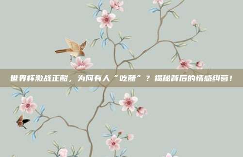 世界杯激战正酣,为何有人“吃醋”?揭秘背后的情感纠葛!