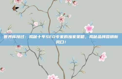 世界杯接过：揭秘十年SEO专家的独家策略，揭秘品牌营销新风口！