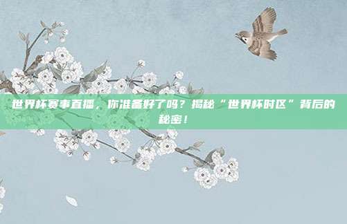 世界杯赛事直播，你准备好了吗？揭秘“世界杯时区”背后的秘密！