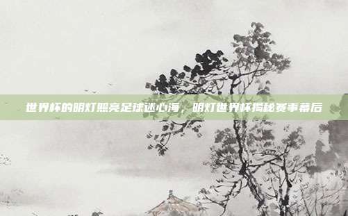 世界杯的明灯照亮足球迷心海,明灯世界杯揭秘赛事幕后