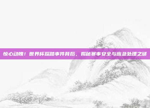 惊心动魄!世界杯踩踏事件背后,揭秘赛事安全与应急处理之谜