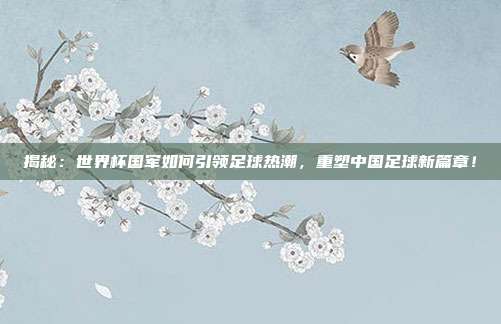 揭秘:世界杯国军如何引领足球热潮,重塑中国足球新篇章!