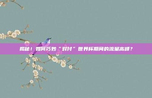 揭秘！如何巧妙“对付”世界杯期间的流量高峰？