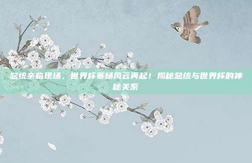 总统亲临现场，世界杯赛场风云再起！揭秘总统与世界杯的神秘关系