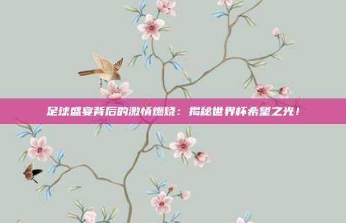 足球盛宴背后的激情燃烧:揭秘世界杯希望之光!