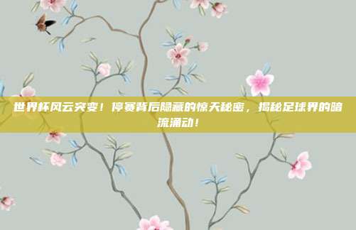 世界杯风云突变！停赛背后隐藏的惊天秘密，揭秘足球界的暗流涌动！